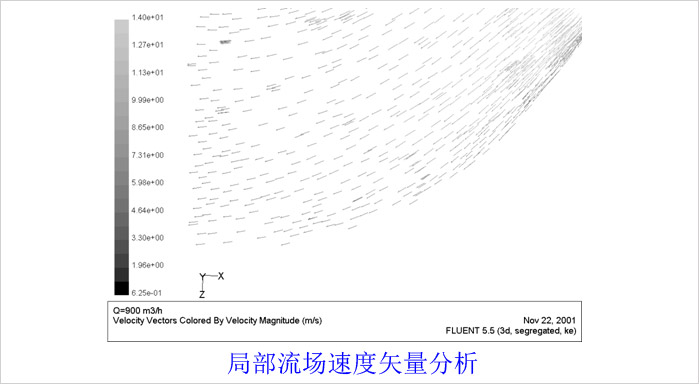 局部流场速度矢量分析